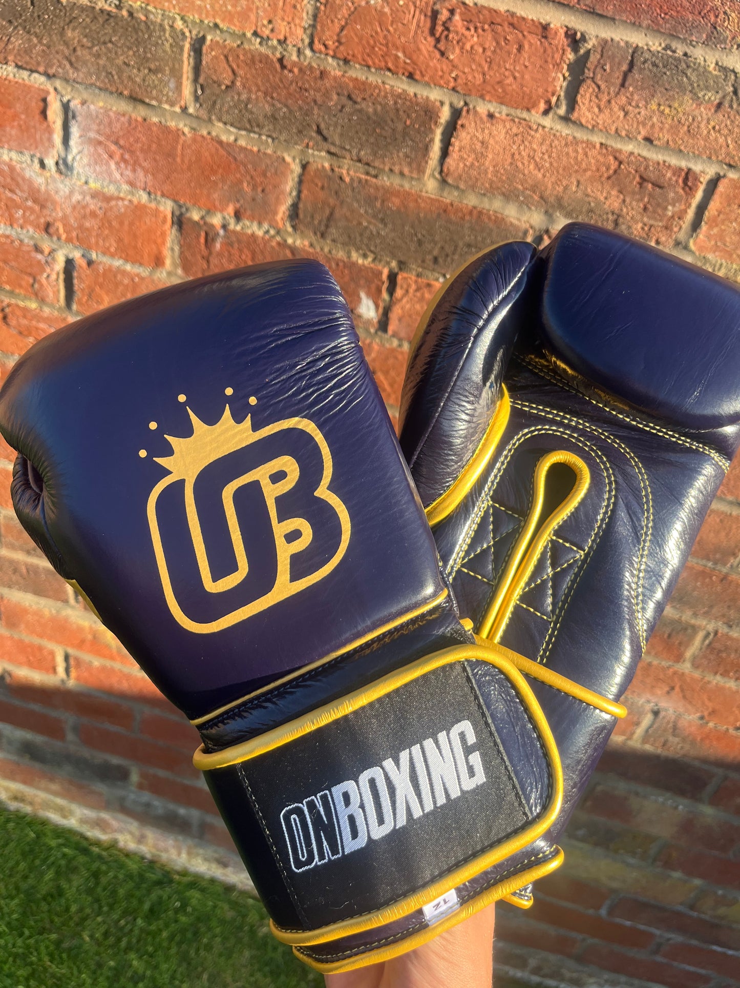 ON BOXING KINGPIN-X - Navy Blue Gold