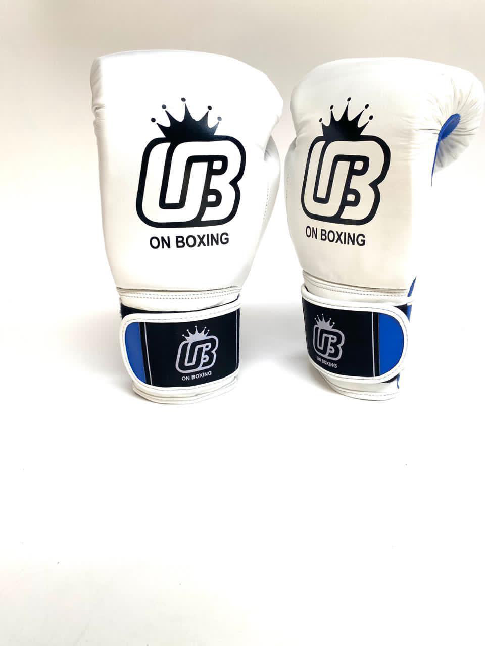 ON BOXING Titan Gloves