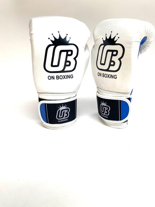 ON BOXING Titan Gloves